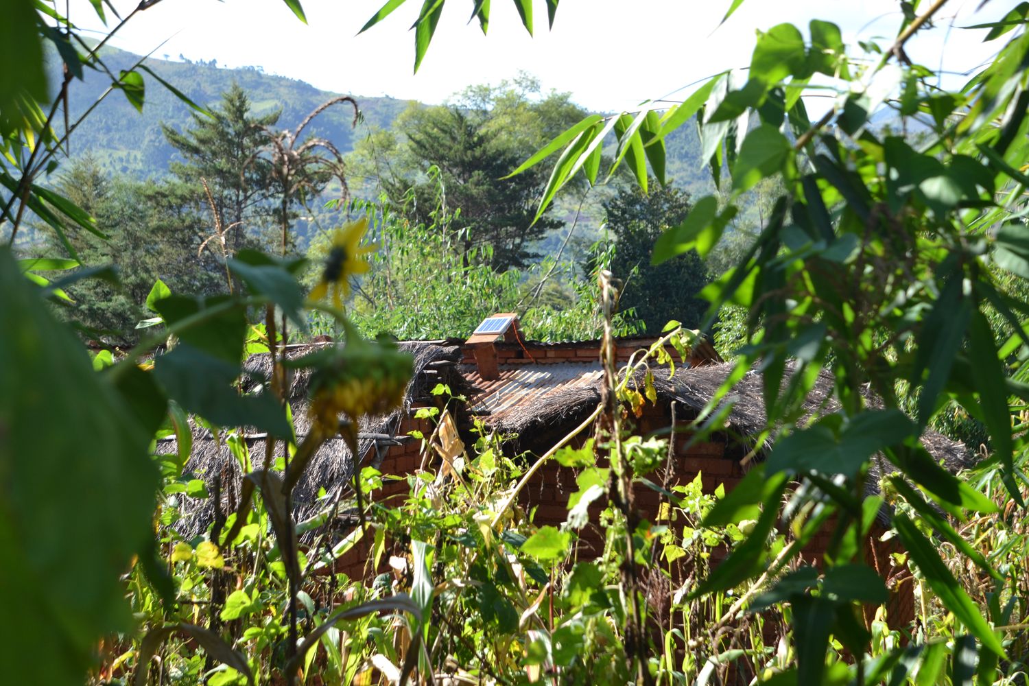 Photovaltaic panels for electricity in Lugarawa village